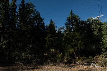TM5_4728.jpg