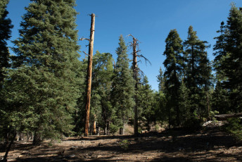 TM5_4789.jpg