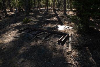 TM5_4802.jpg