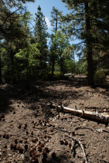 TM5_4833.jpg