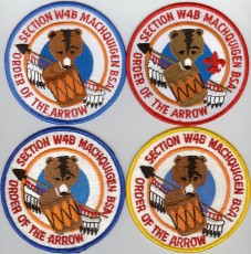 Section W4B Standard and Officer Patches