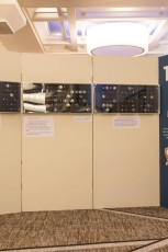 DSC_0004-2.jpg