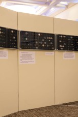 DSC_0005-3.jpg