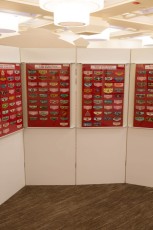 DSC_0068-3.jpg