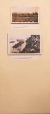 DSC_9895.jpg