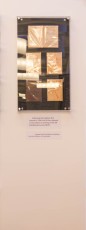 DSC_9942.jpg