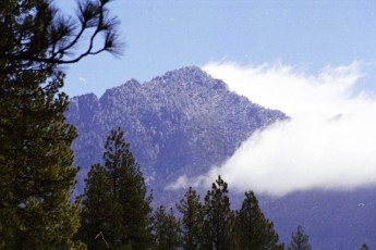 a001_11.jpg