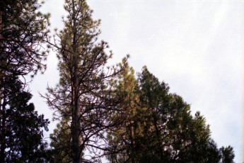 a001_24a1.jpg