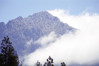 a004_41.jpg