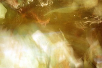 a010_10.jpg