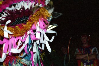 a011_2.jpg
