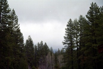 a017_171.jpg