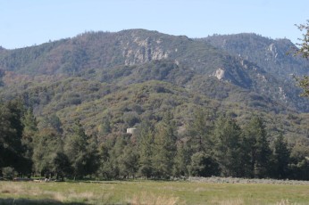 IMG_1522.jpg