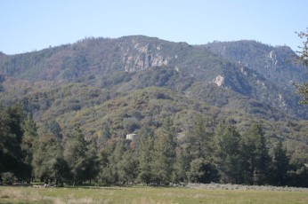 IMG_1523.jpg