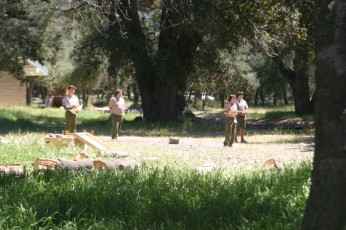 IMG_1564.jpg
