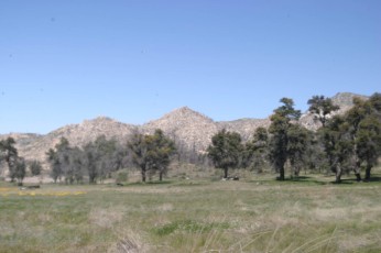 IMG_1582.jpg