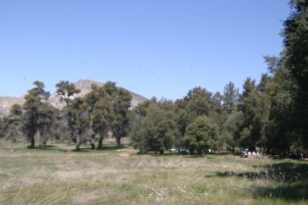 IMG_1583.jpg