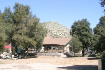 IMG_1586.jpg