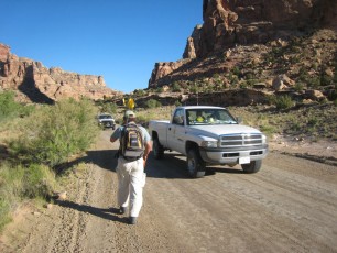 IMG_6215.jpg
