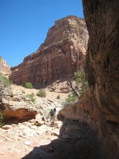 IMG_6360.jpg