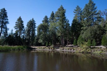 TM2_3664.jpg