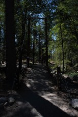 TM2_3676.jpg