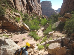 IMG_6266.jpg
