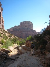 IMG_6292.jpg