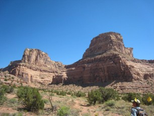IMG_6350.jpg
