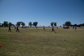 TM2_3842.jpg