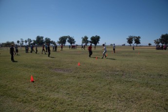 TM2_3849.jpg