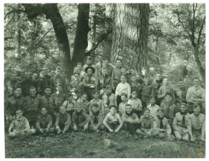 Arataba-P31.jpg