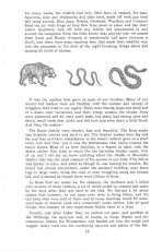 Page 12.jpg