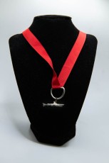 Malibu Lodge Silver Shark Award