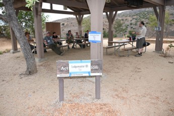 DSC_4142.jpg
