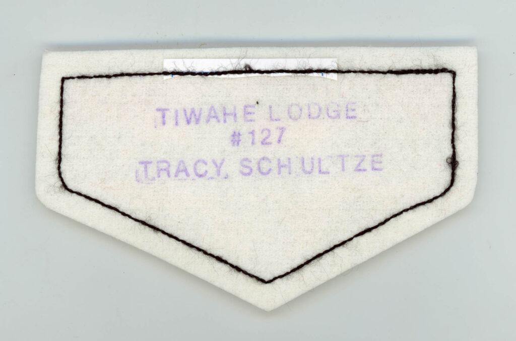 Tiwahe Lodge One Per Life Chenille - Reverse